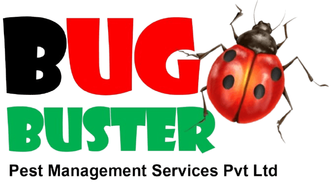 Bug Buster