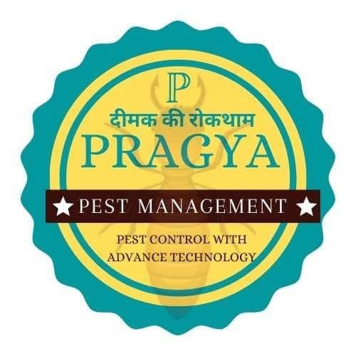 PRAGYA PEST MANAGEMENT