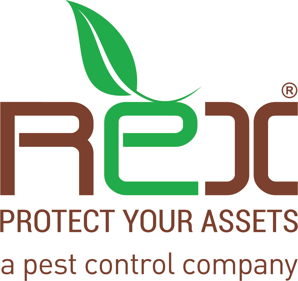 Rex Pest Control logo