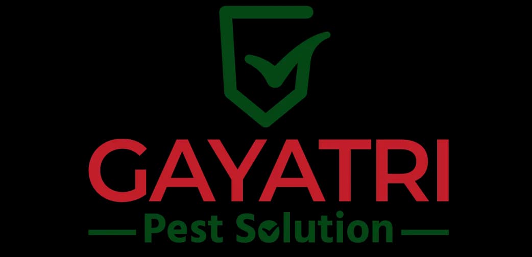 Gayatri Pest Solution