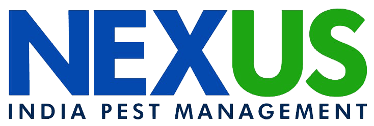 Nexus logo