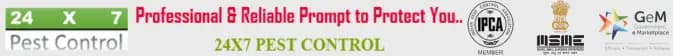 24x7 Pest Control