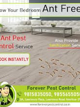 Forever Pest Control