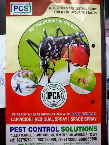 Pest Control Solutions