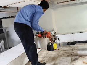 EcoSafe Pest Solutions