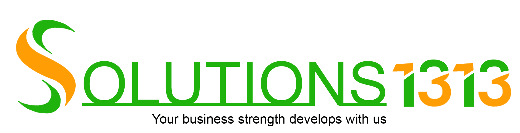 Solutions 1313