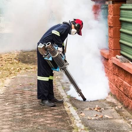 Pest Control Noida