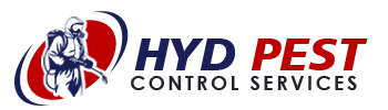 Best Termite Control Service