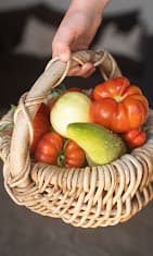 Happy Belly Health by Shanti Pappas photo
