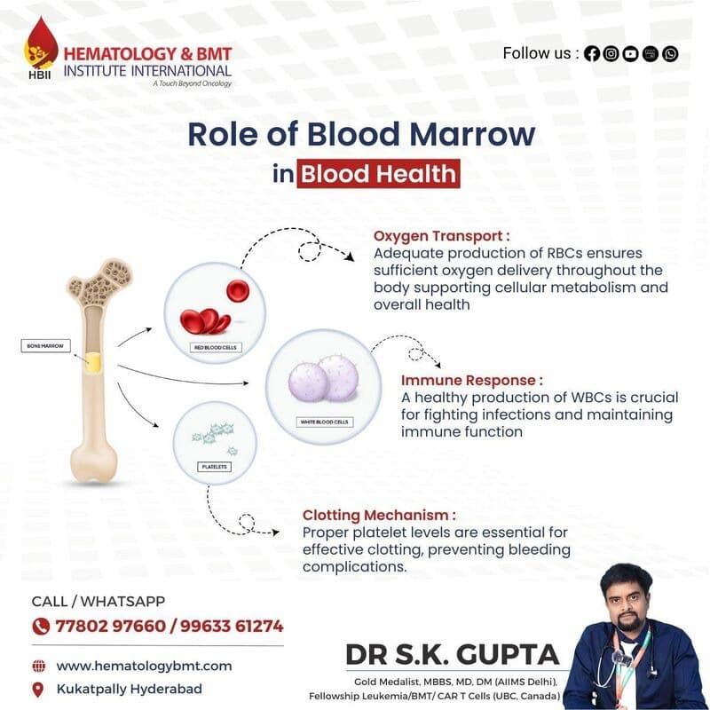 Telehealth for Bone Marrow Transplant Patients: Expert Care From Anywhere photo